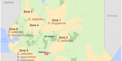 Ölçme Kenya Enstitüsü ve haritalama kurslar